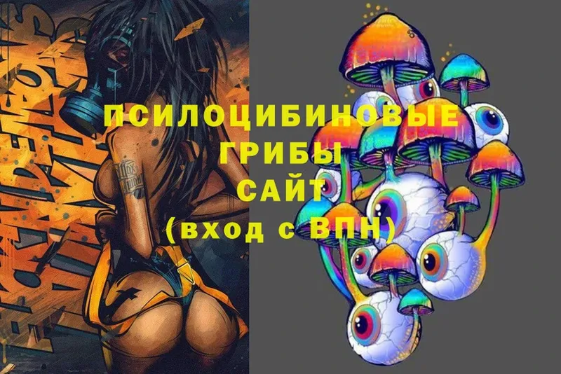 Псилоцибиновые грибы Psilocybe  Игарка 